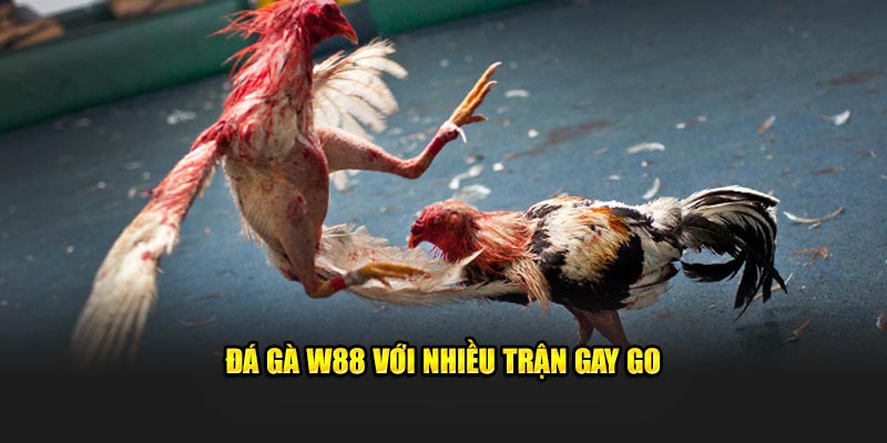 w88
